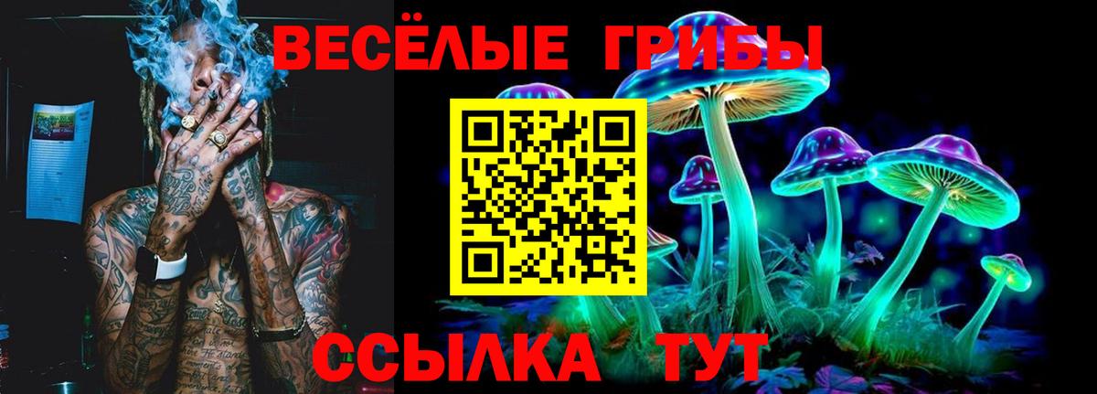 Псилоцибиновые грибы GOLDEN TEACHER Златоуст